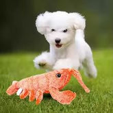 Wiggly Lobster Dog Toy